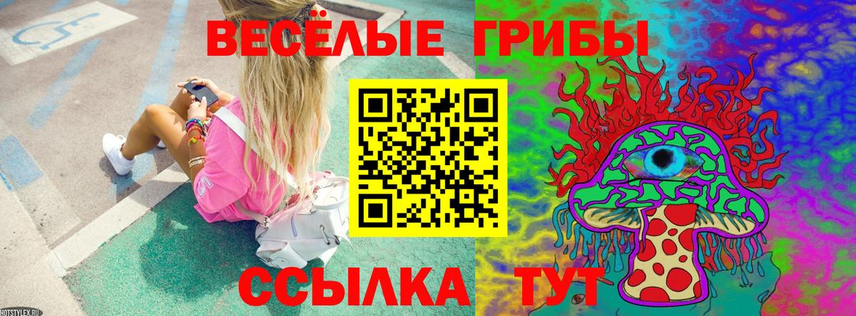 Балашиха  купить наркотики сайты  Вход с VPN  Псилоцибиновые грибы Psilocybe 